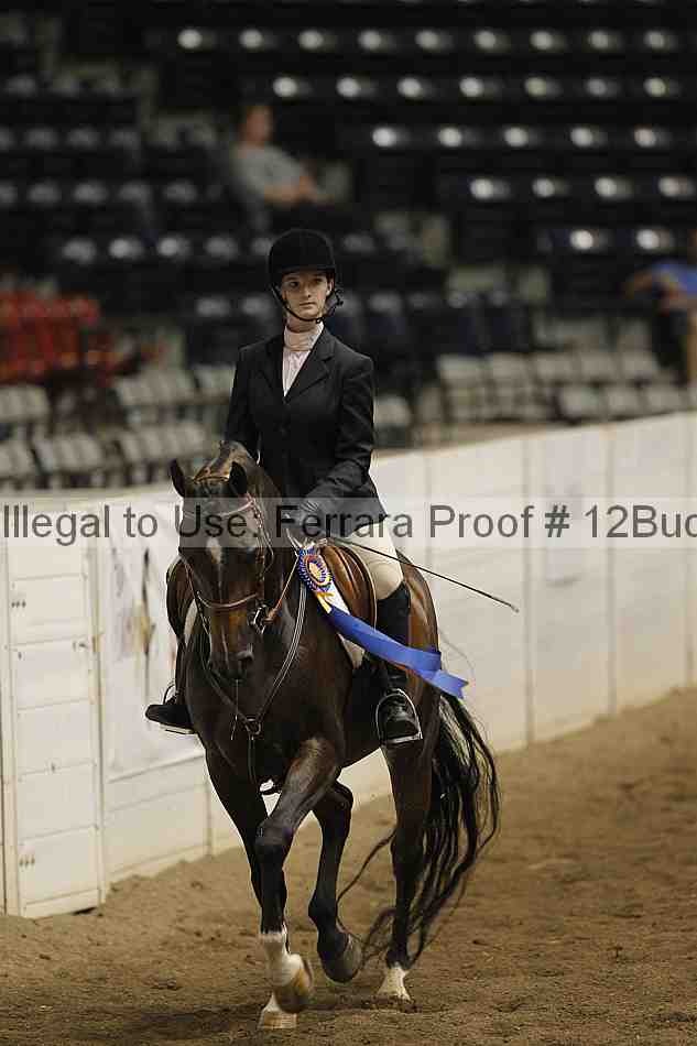 Proof 12buck_5542