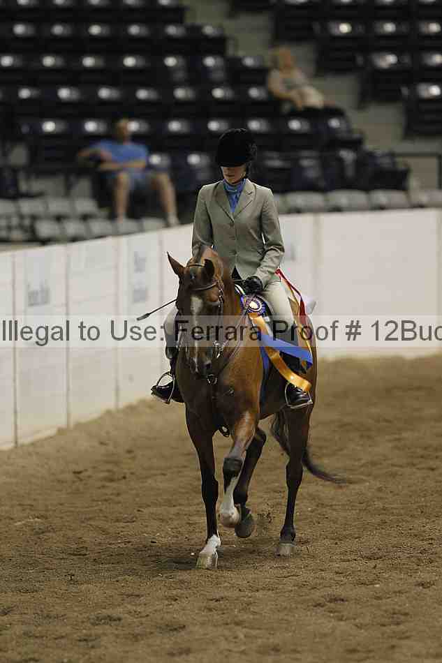 Proof 12buck_5546