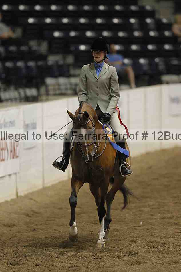 Proof 12buck_5547