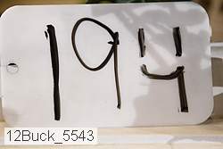 12buck_5543 proof