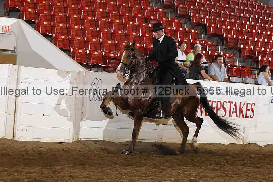 Proof 12buck_5555