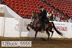 12buck_5555 proof