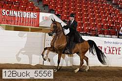 12buck_5556 proof