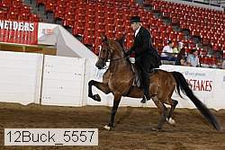 12buck_5557 proof