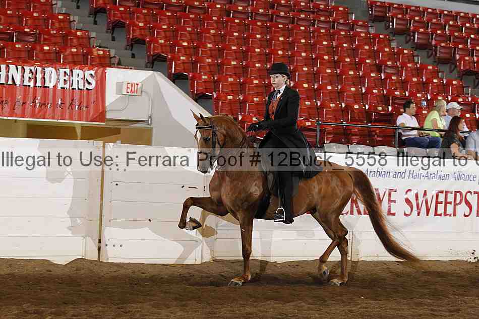 Proof 12buck_5558