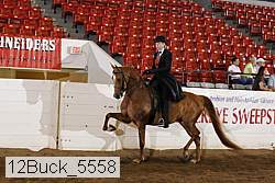 12buck_5558 proof