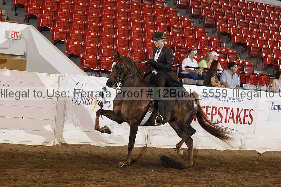 Proof 12buck_5559