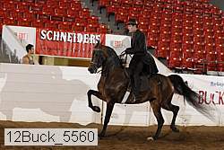 12buck_5560 proof