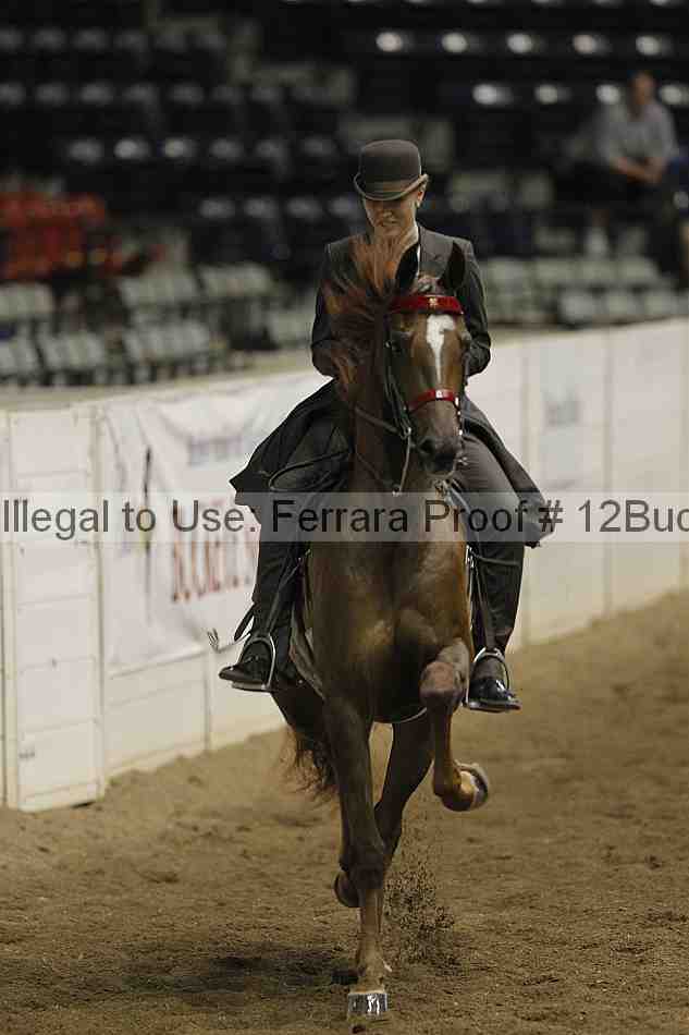 Proof 12buck_5561