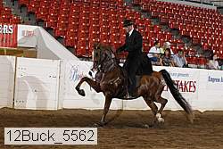 12buck_5562 proof