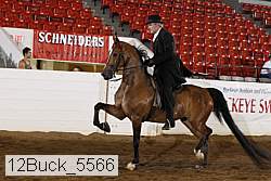 12buck_5566 proof
