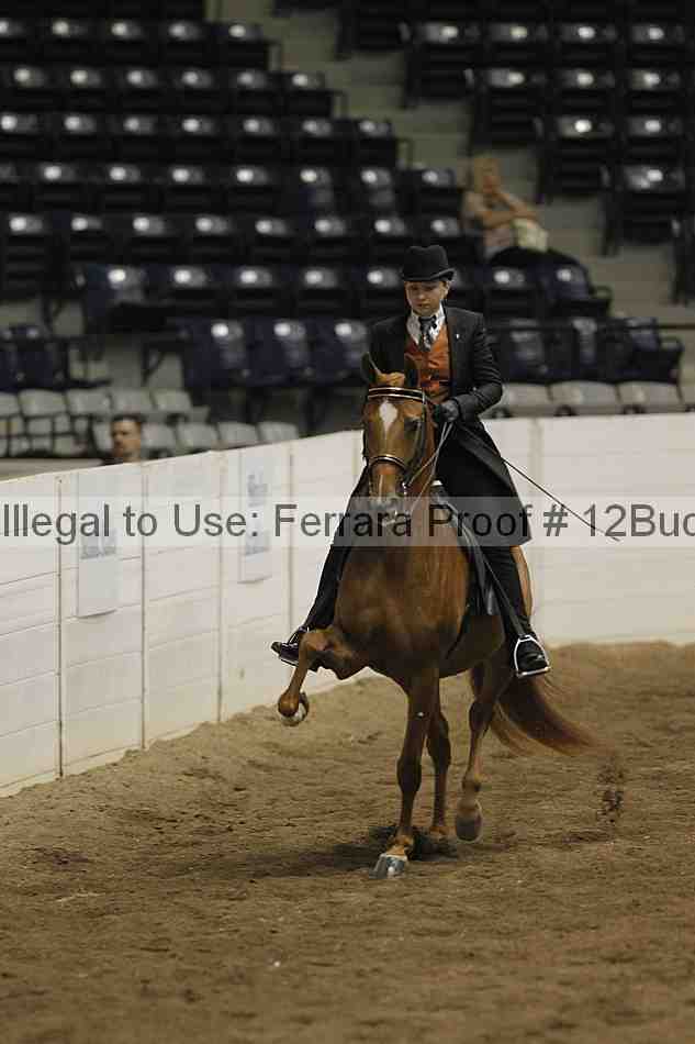 Proof 12buck_5568