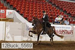 12buck_5569 proof