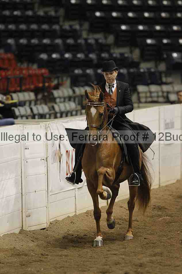 Proof 12buck_5570
