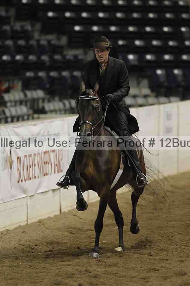 Proof 12buck_5571