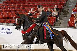 12buck_5575 proof