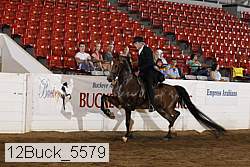 12buck_5579 proof