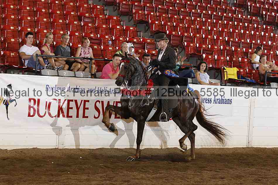 Proof 12buck_5585