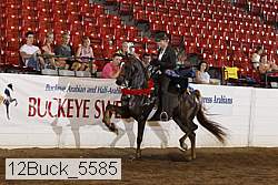 12buck_5585 proof