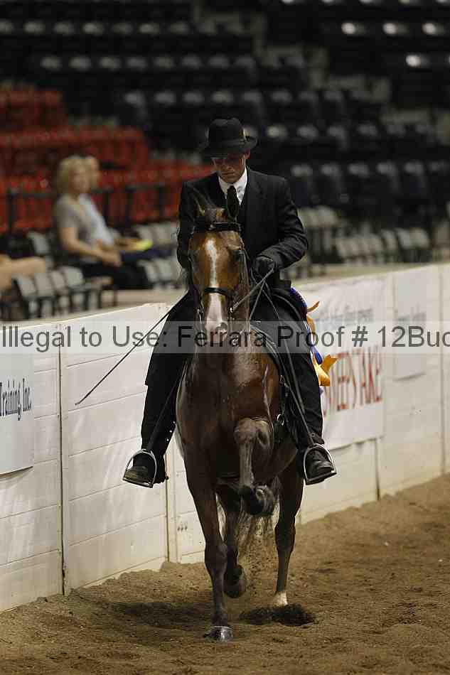 Proof 12buck_5590