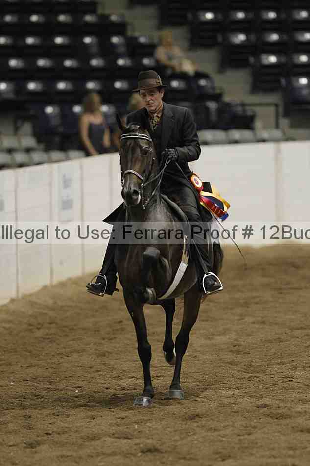 Proof 12buck_5591