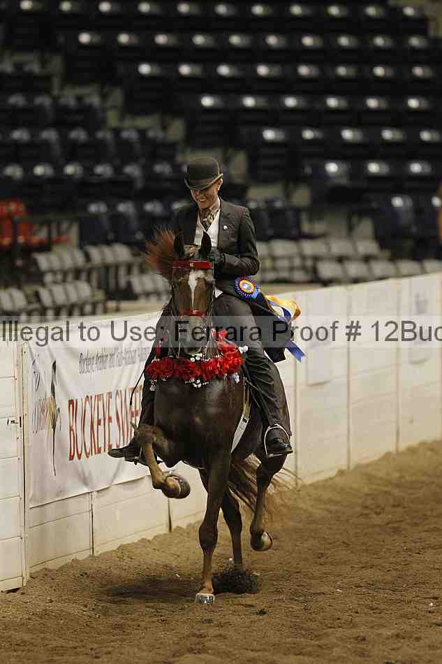 Proof 12buck_5593