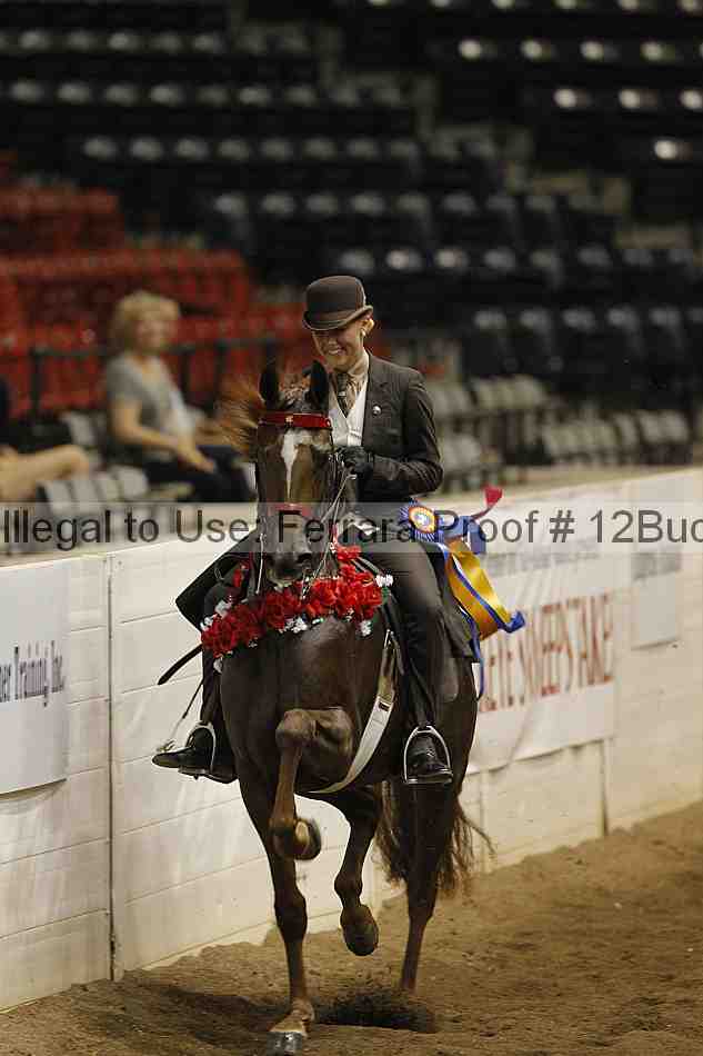 Proof 12buck_5594