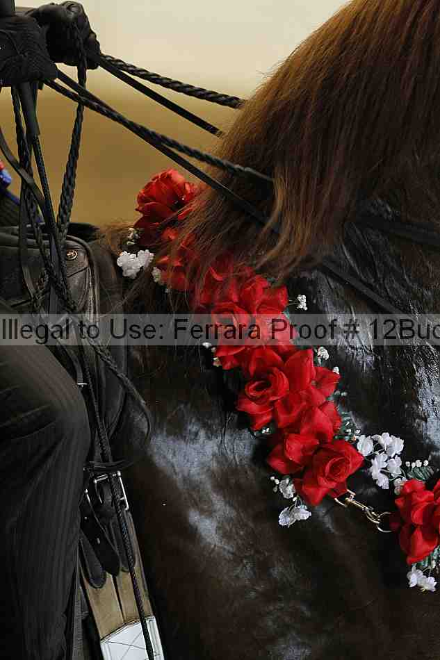 Proof 12buck_5598