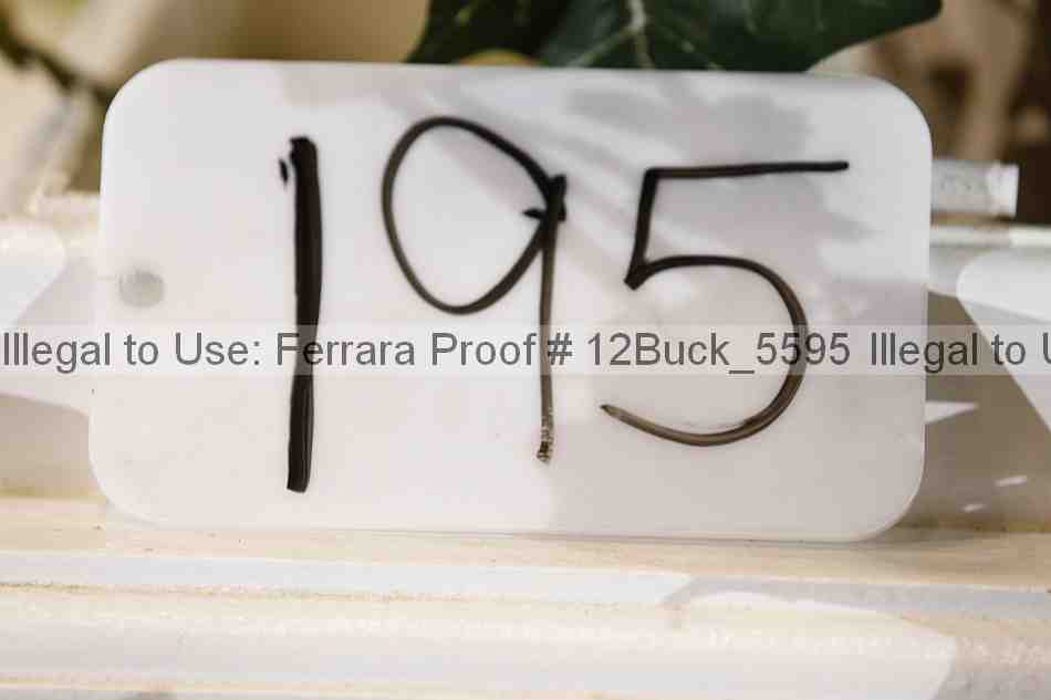Proof 12buck_5595