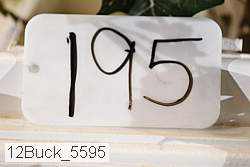 12buck_5595 proof