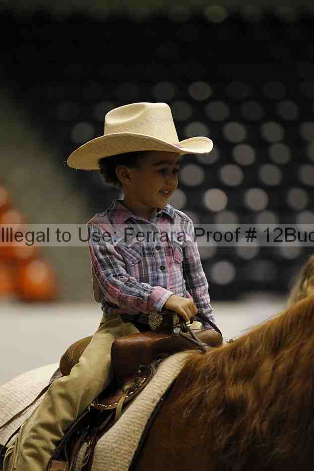 Proof 12buck_5605