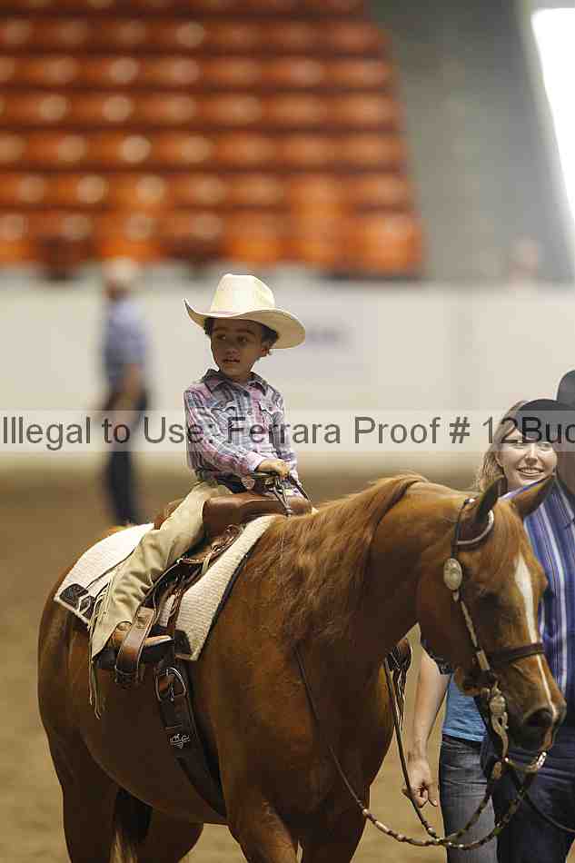 Proof 12buck_5618