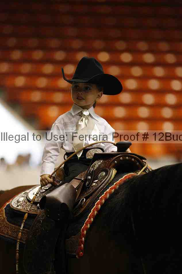 Proof 12buck_5619