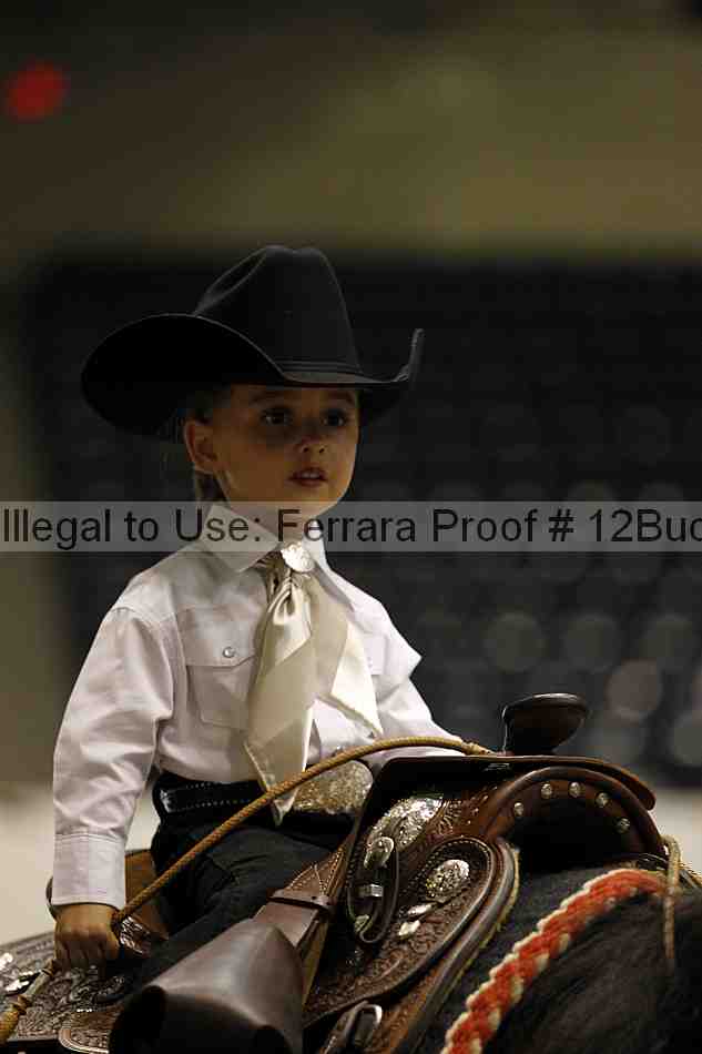 Proof 12buck_5622
