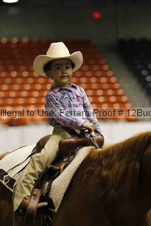 Proof 12buck_5636