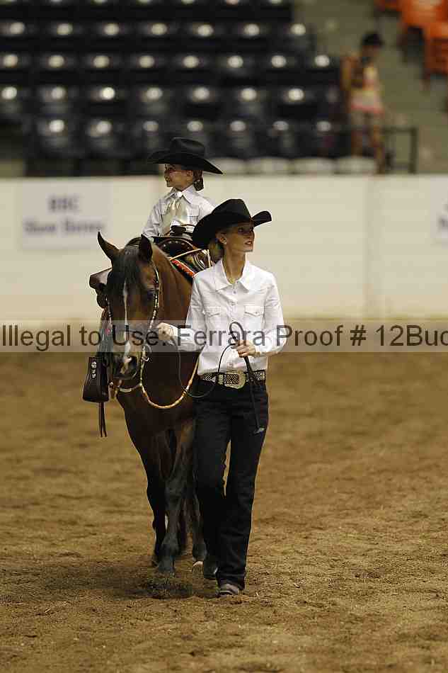 Proof 12buck_5639