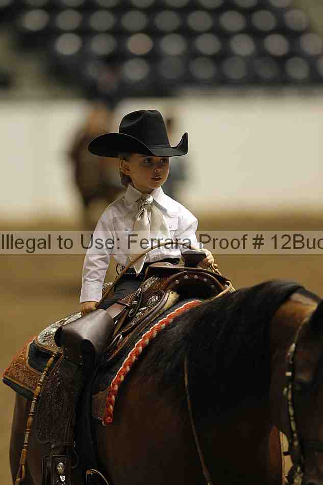 Proof 12buck_5641