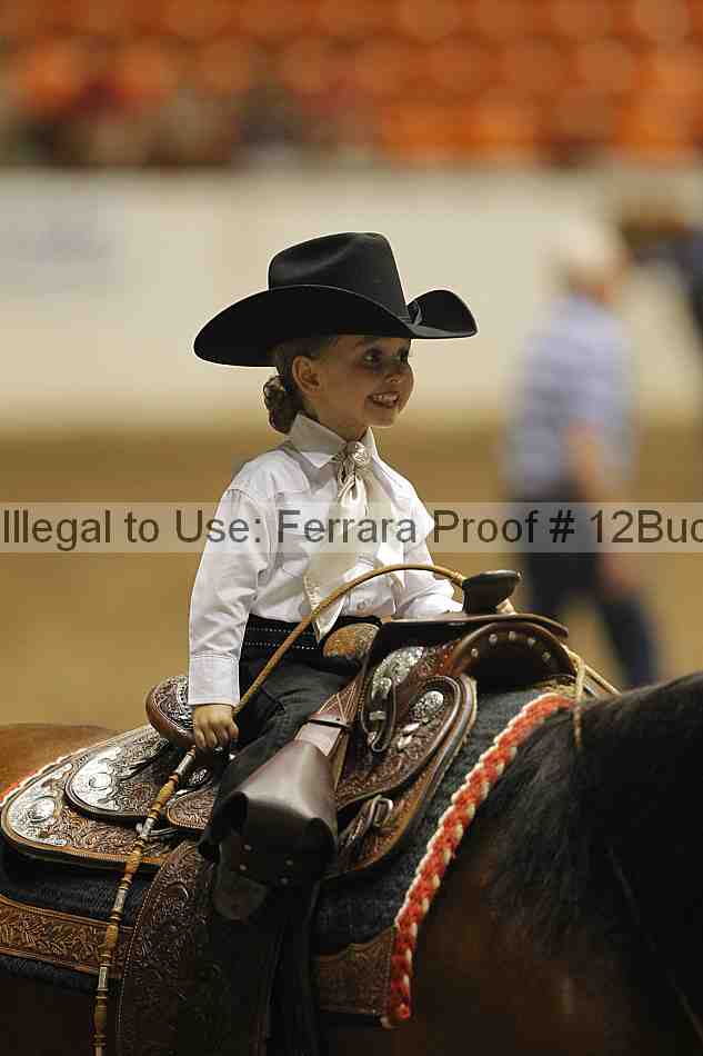 Proof 12buck_5645