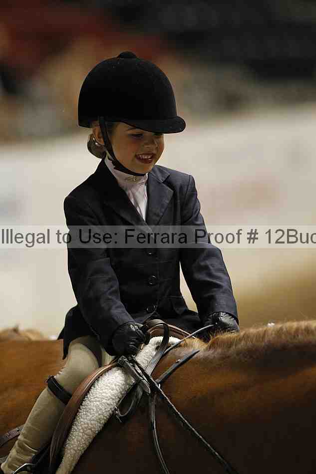 Proof 12buck_5656