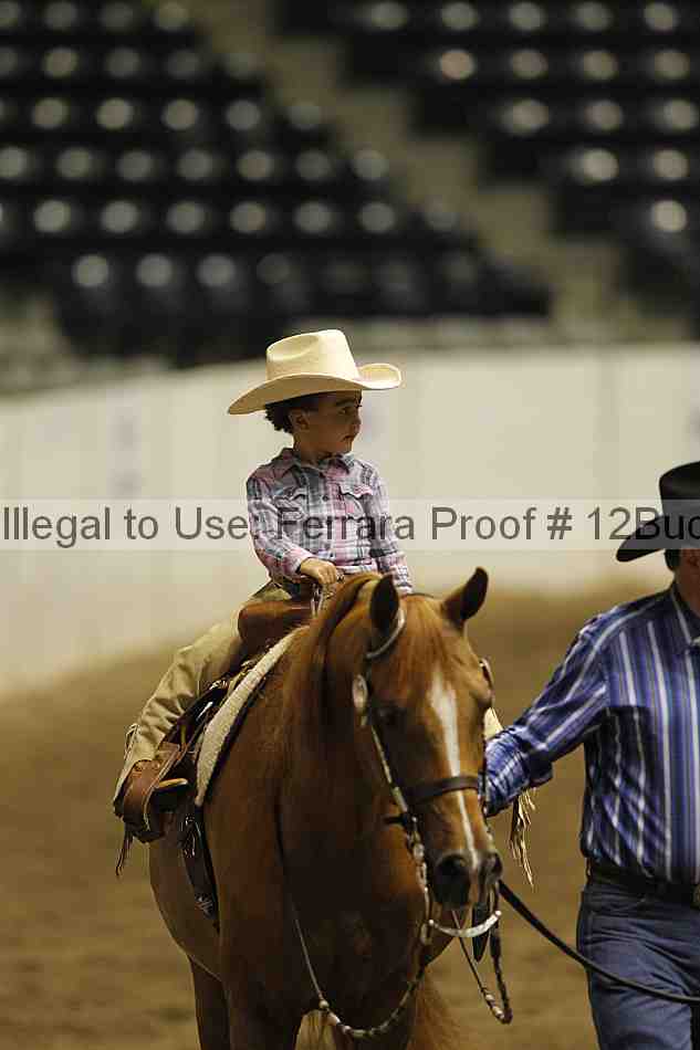 Proof 12buck_5659