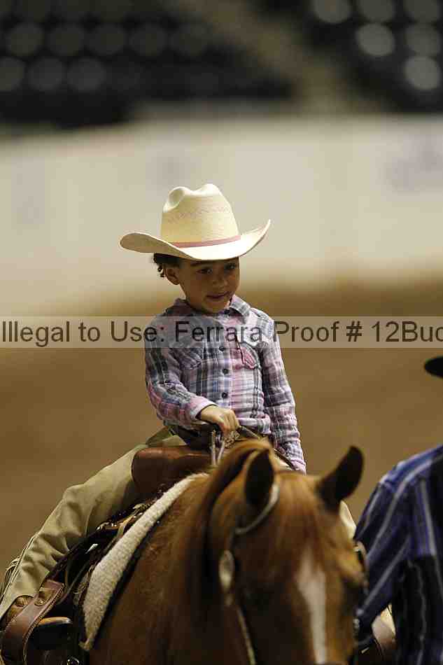 Proof 12buck_5661