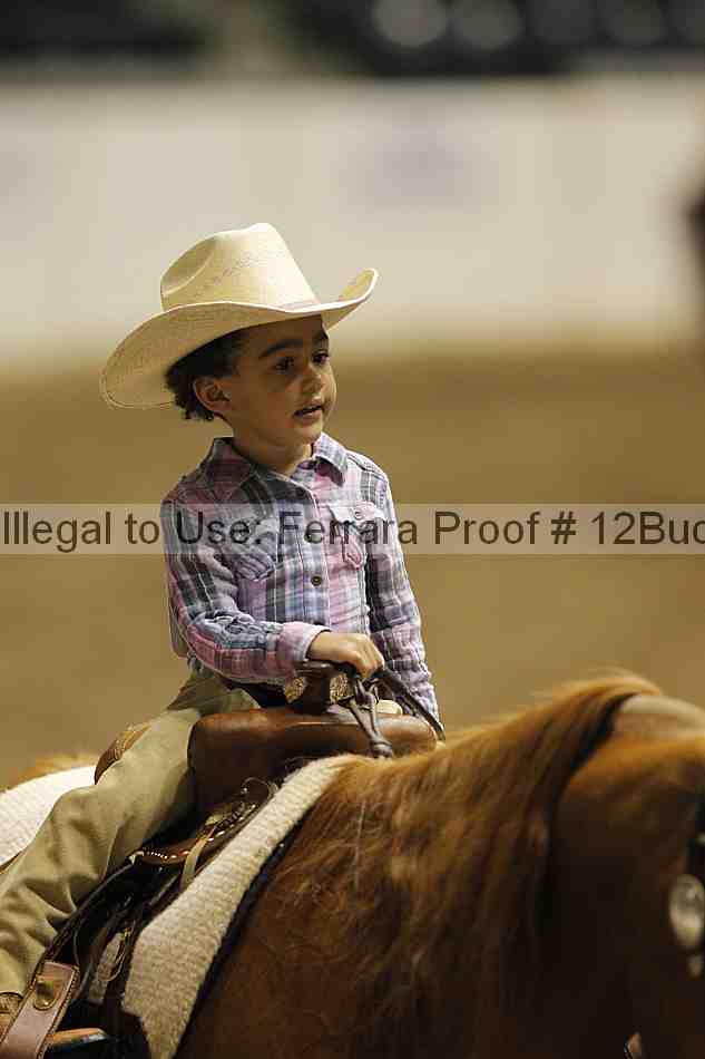 Proof 12buck_5663