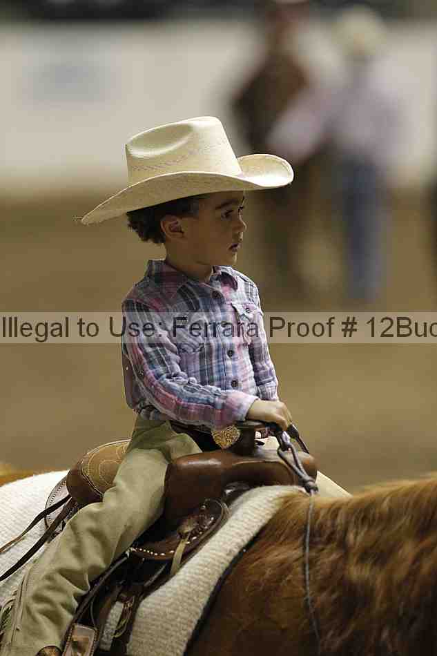 Proof 12buck_5664