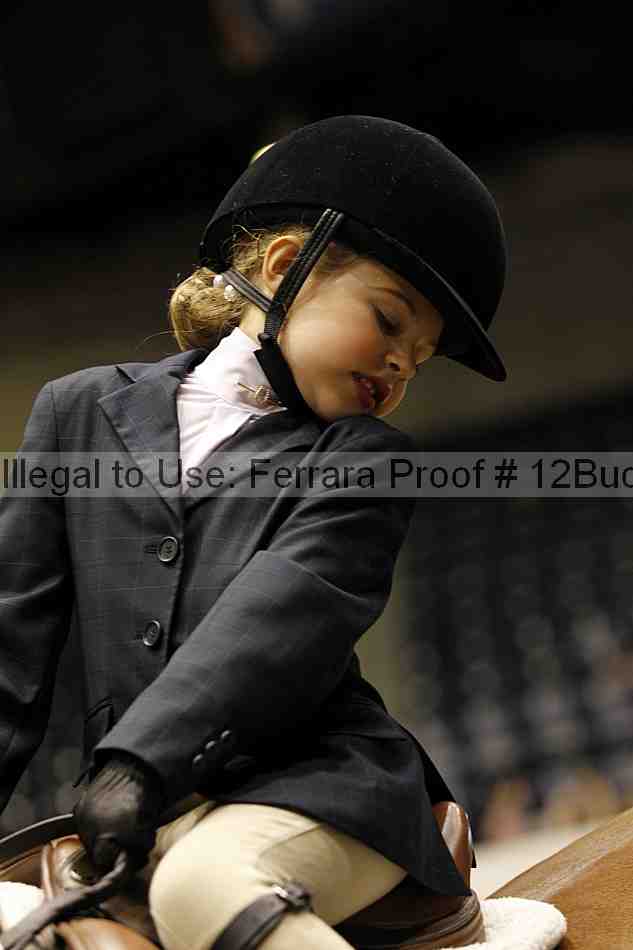 Proof 12buck_5668