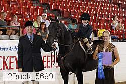 12buck_5699 proof