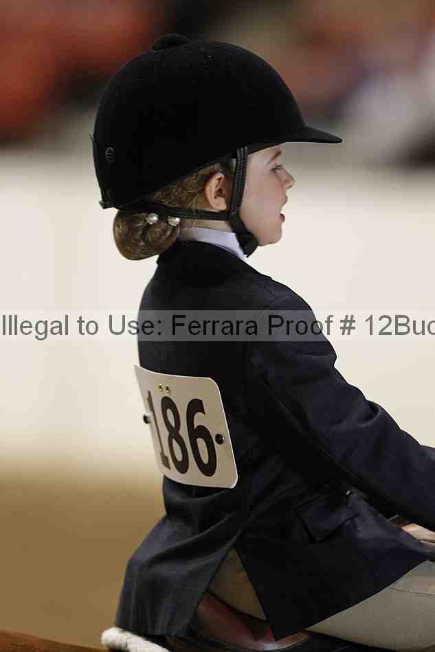 Proof 12buck_5701