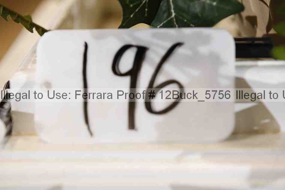 Proof 12buck_5756