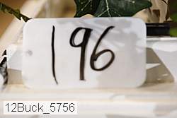 12buck_5756 proof