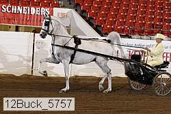 12buck_5757 proof
