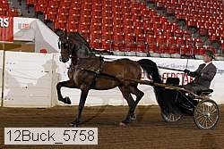 12buck_5758 proof